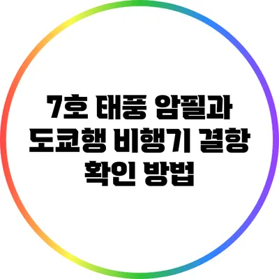 7호 태풍 암필과 도쿄행 비행기 결항 확인 방법