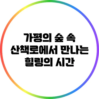 가평의 숲 속 산책로에서 만나는 힐링의 시간