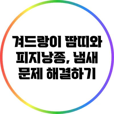 겨드랑이 땀띠와 피지낭종, 냄새 문제 해결하기