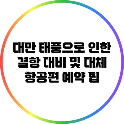 대만 태풍으로 인한 결항 대비 및 대체 항공편 예약 팁