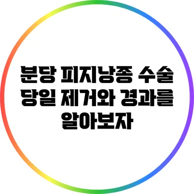 분당 피지낭종 수술: 당일 제거와 경과를 알아보자