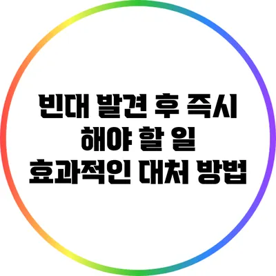 빈대 발견 후 즉시 해야 할 일: 효과적인 대처 방법