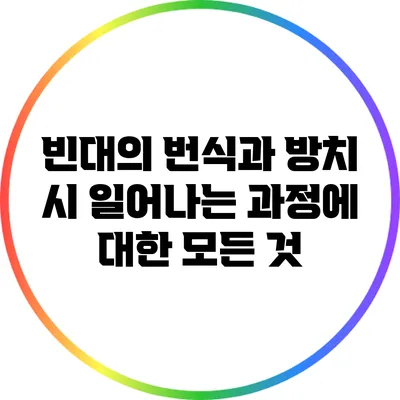 빈대의 번식과 방치 시 일어나는 과정에 대한 모든 것