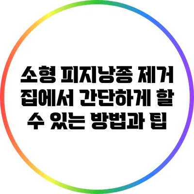 소형 피지낭종 제거: 집에서 간단하게 할 수 있는 방법과 팁