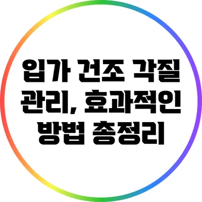입가 건조 각질 관리, 효과적인 방법 총정리