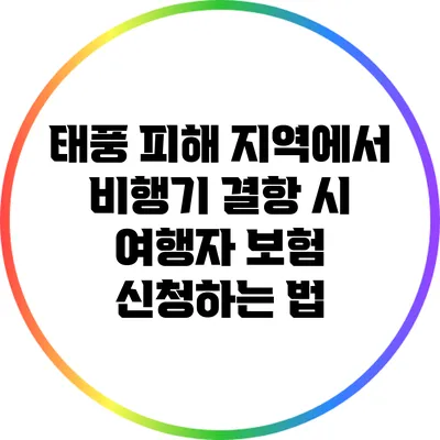 태풍 피해 지역에서 비행기 결항 시 여행자 보험 신청하는 법