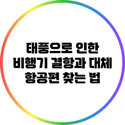 태풍으로 인한 비행기 결항과 대체 항공편 찾는 법