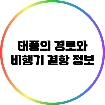태풍의 경로와 비행기 결항 정보