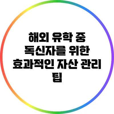 해외 유학 중 독신자를 위한 효과적인 자산 관리 팁