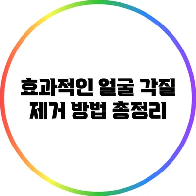 효과적인 얼굴 각질 제거 방법 총정리