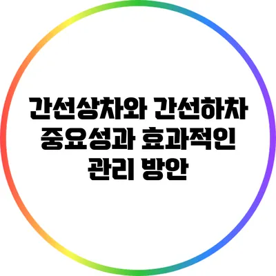 간선상차와 간선하차: 중요성과 효과적인 관리 방안