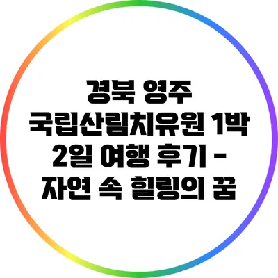 경북 영주 국립산림치유원 1박 2일 여행 후기 - 자연 속 힐링의 꿈