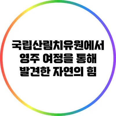국립산림치유원에서 영주 여정을 통해 발견한 자연의 힘