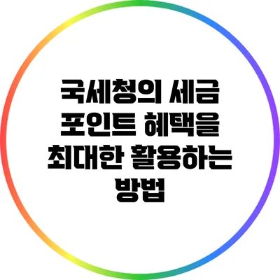 국세청의 세금 포인트 혜택을 최대한 활용하는 방법
