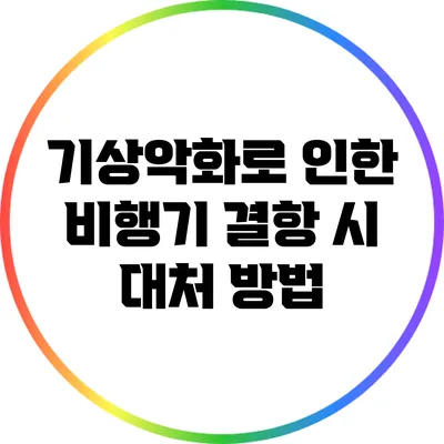 기상악화로 인한 비행기 결항 시 대처 방법