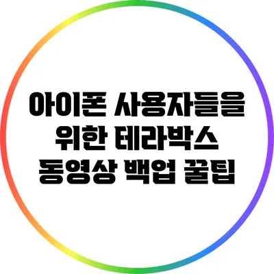 아이폰 사용자들을 위한 테라박스 동영상 백업 꿀팁