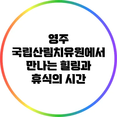 영주 국립산림치유원에서 만나는 힐링과 휴식의 시간