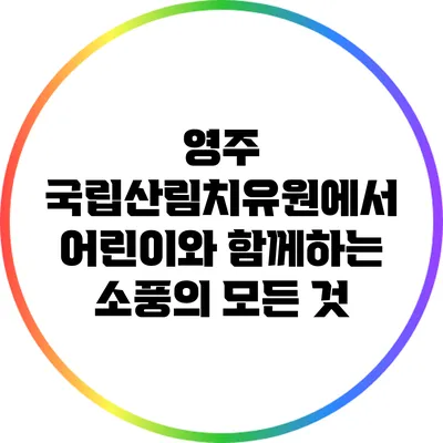 영주 국립산림치유원에서 어린이와 함께하는 소풍의 모든 것