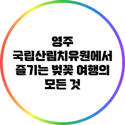 영주 국립산림치유원에서 즐기는 벚꽃 여행의 모든 것