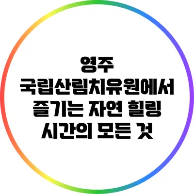 영주 국립산림치유원에서 즐기는 자연 힐링 시간의 모든 것