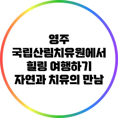영주 국립산림치유원에서 힐링 여행하기: 자연과 치유의 만남
