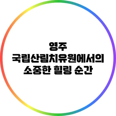 영주 국립산림치유원에서의 소중한 힐링 순간