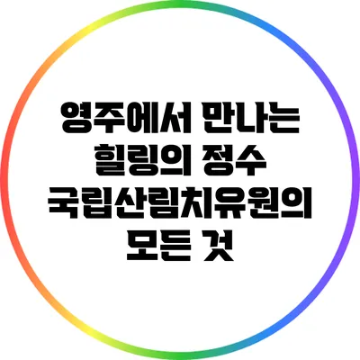 영주에서 만나는 힐링의 정수: 국립산림치유원의 모든 것