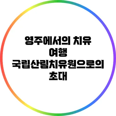 영주에서의 치유 여행: 국립산림치유원으로의 초대