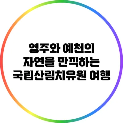 영주와 예천의 자연을 만끽하는 국립산림치유원 여행