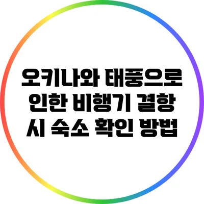 오키나와 태풍으로 인한 비행기 결항 시 숙소 확인 방법