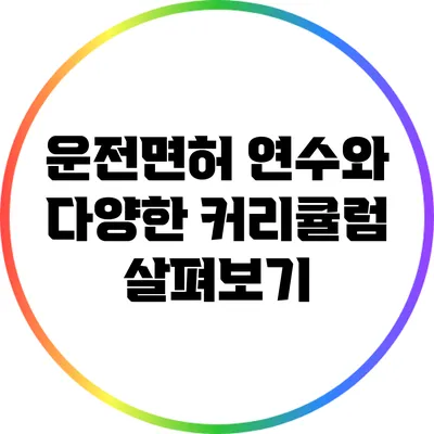 운전면허 연수와 다양한 커리큘럼 살펴보기