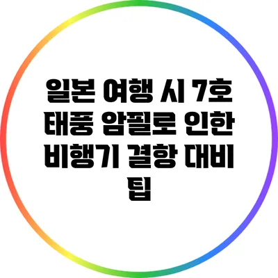 일본 여행 시 7호 태풍 암필로 인한 비행기 결항 대비 팁