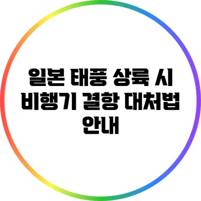 일본 태풍 상륙 시 비행기 결항 대처법 안내