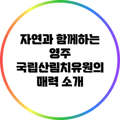 자연과 함께하는 영주 국립산림치유원의 매력 소개
