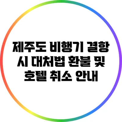 제주도 비행기 결항 시 대처법: 환불 및 호텔 취소 안내