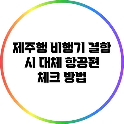 제주행 비행기 결항 시 대체 항공편 체크 방법