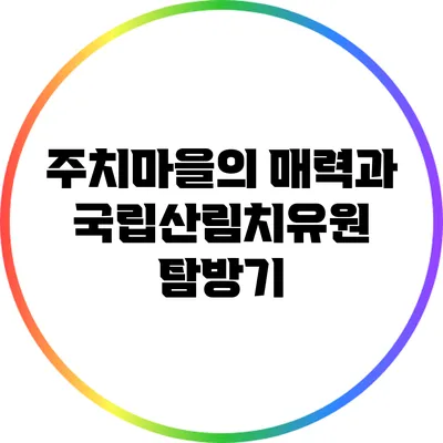 주치마을의 매력과 국립산림치유원 탐방기