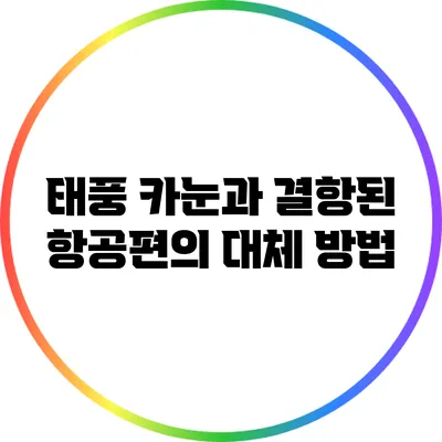 태풍 카눈과 결항된 항공편의 대체 방법