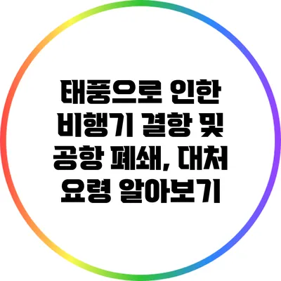 태풍으로 인한 비행기 결항 및 공항 폐쇄, 대처 요령 알아보기