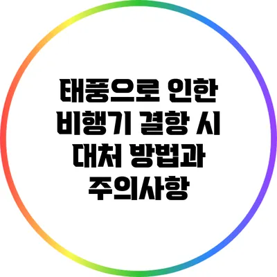 태풍으로 인한 비행기 결항 시 대처 방법과 주의사항