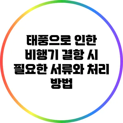태풍으로 인한 비행기 결항 시 필요한 서류와 처리 방법
