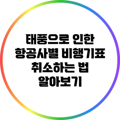 태풍으로 인한 항공사별 비행기표 취소하는 법 알아보기