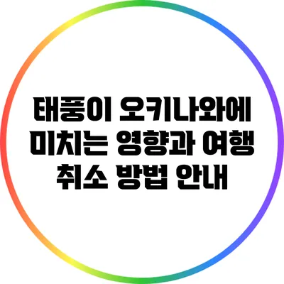 태풍이 오키나와에 미치는 영향과 여행 취소 방법 안내