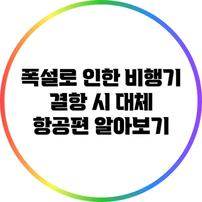 폭설로 인한 비행기 결항 시 대체 항공편 알아보기