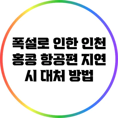 폭설로 인한 인천 > 홍콩 항공편 지연 시 대처 방법