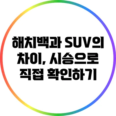 해치백과 SUV의 차이, 시승으로 직접 확인하기