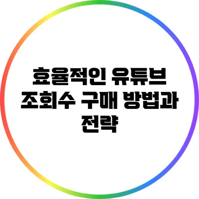 효율적인 유튜브 조회수 구매 방법과 전략