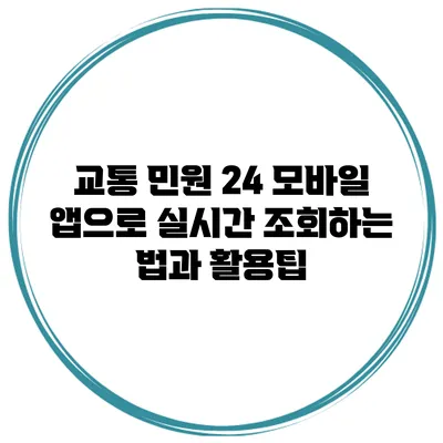 교통 민원 24 모바일 앱으로 실시간 조회하는 법과 활용팁