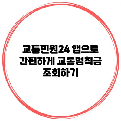 교통민원24 앱으로 간편하게 교통범칙금 조회하기
