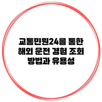 교통민원24를 통한 해외 운전 경험 조회 방법과 유용성
